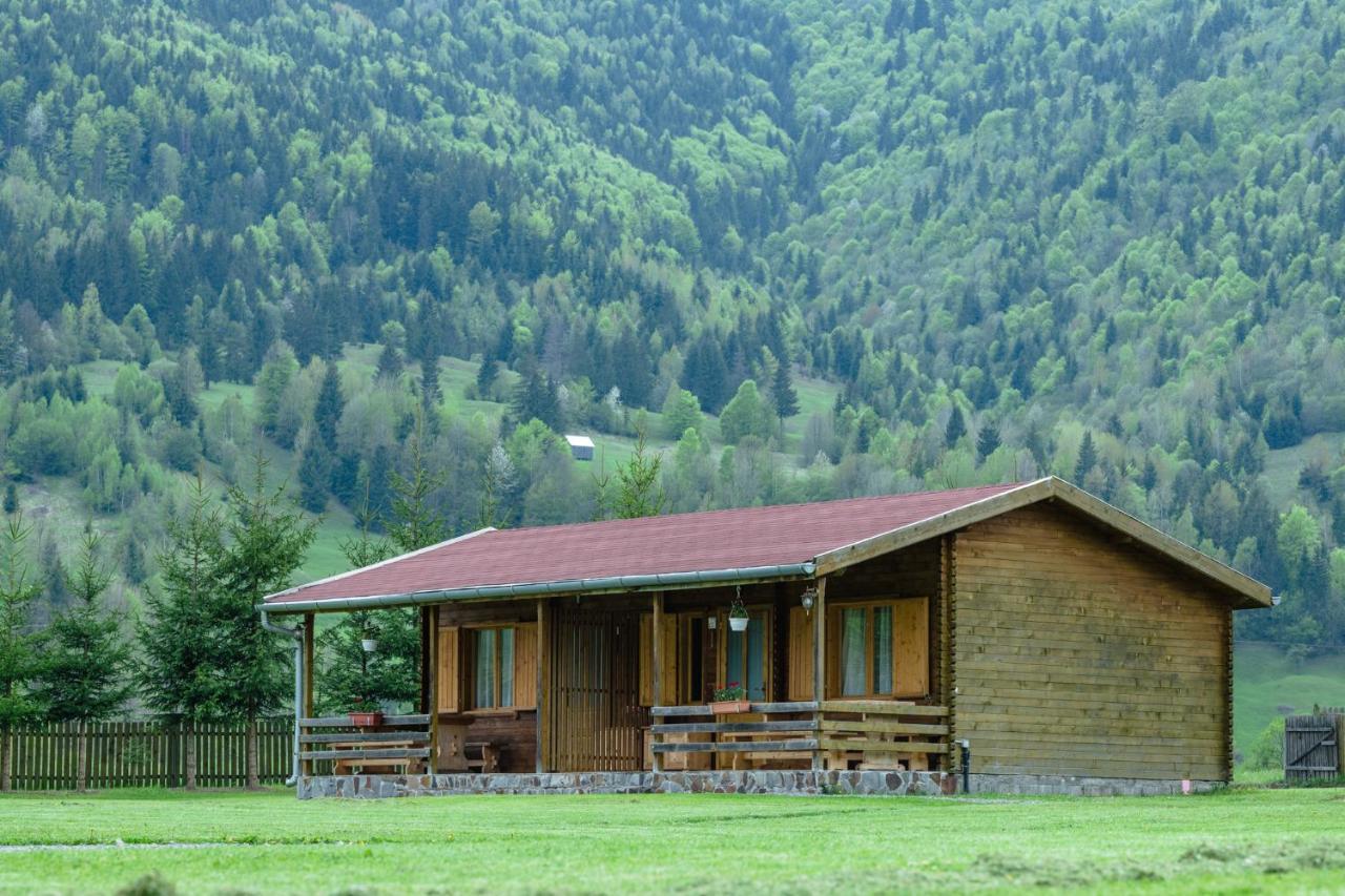 Biotour Camping & Restaurant Ghimes-Faget Екстер'єр фото